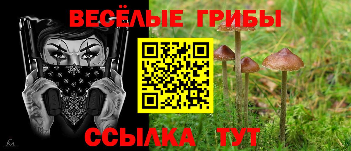 Псилоцибиновые грибы мицелий Калач-на-Дону